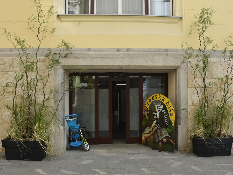 Zoo celje